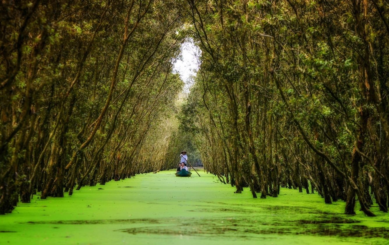 Best time to visit Tra Su Cajuput Forest (Source:Travel Magazine)