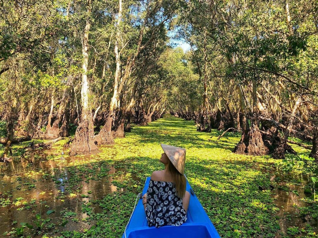 Essential travel tips for visiting Tra Su Cajuput Forest (Source: MIA.vn)