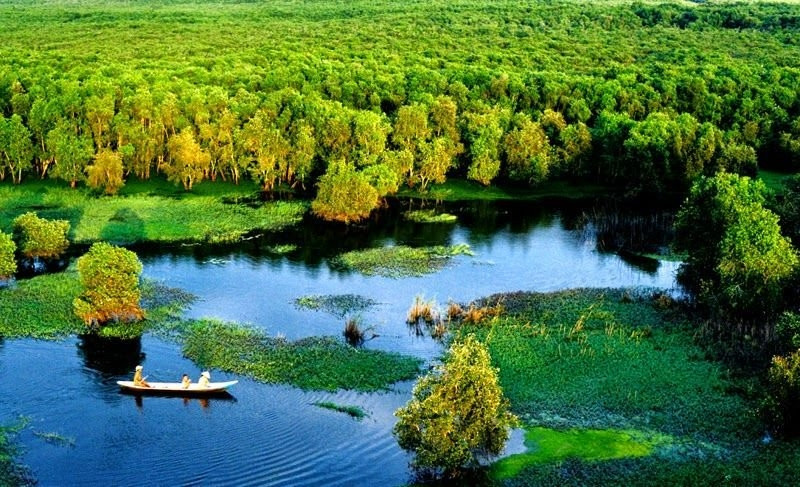 Important notes for visiting Tram Chim National Park (source: Quang Ninh News)